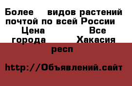 Более200 видов растений почтой по всей России › Цена ­ 100-500 - Все города  »    . Хакасия респ.